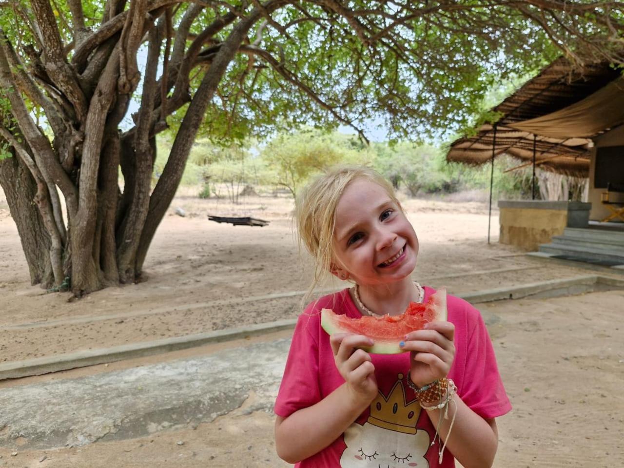 فندق Yala Wild Hut - Yala تيساماهاراما المظهر الخارجي الصورة